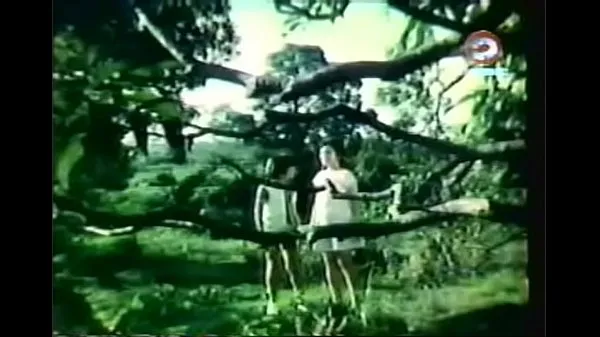 ダルナと巨人（1973エネルギー映画を見る