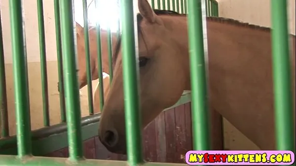 观看Cute masturbating horse rider能源电影