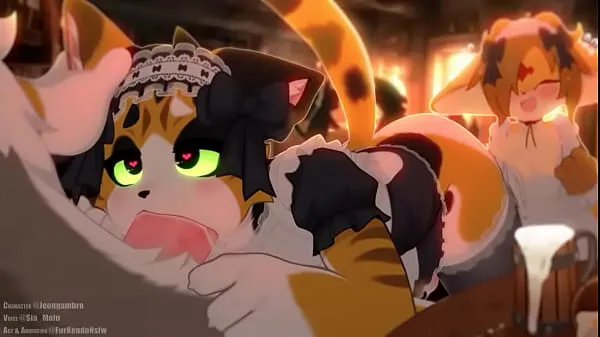 ดู Calico cat gives out a bj to customer ภาพยนตร์เกี่ยวกับพลังงาน
